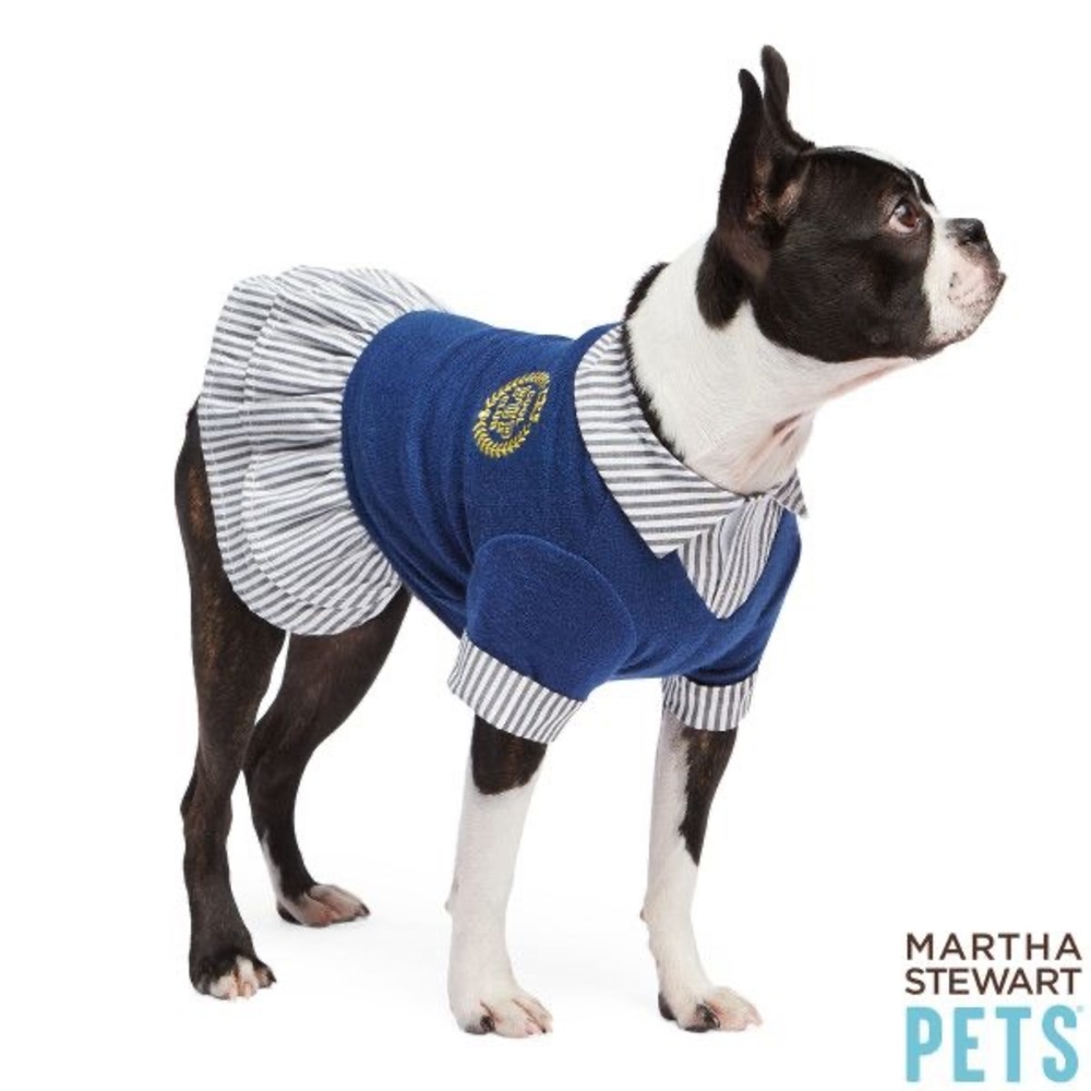 NWT Martha Stewart Pets - Cool Pup Club